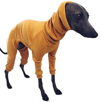 赤のロンパース② イタグレ服　犬服　ハンドメイド plusnao ドッグウェア ロンパース イタリアン グレーハウンド